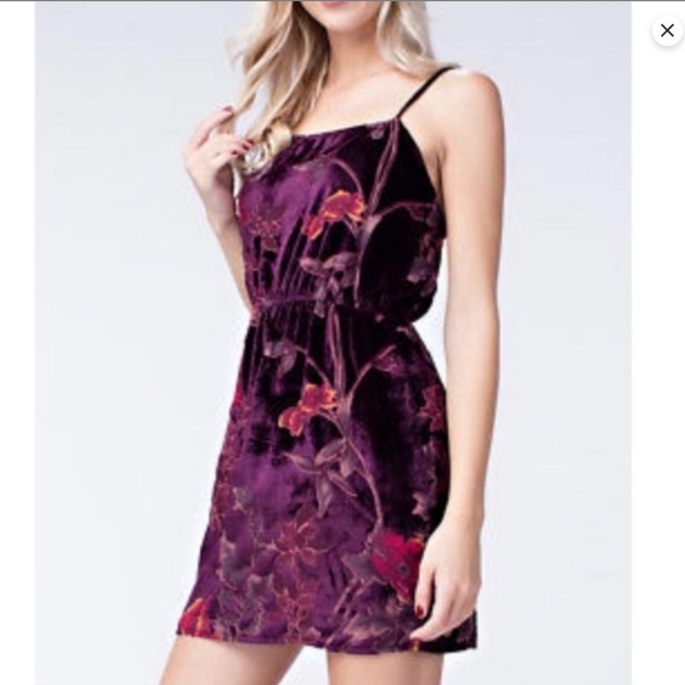 Honey Belle velvet burnout floral mini dress